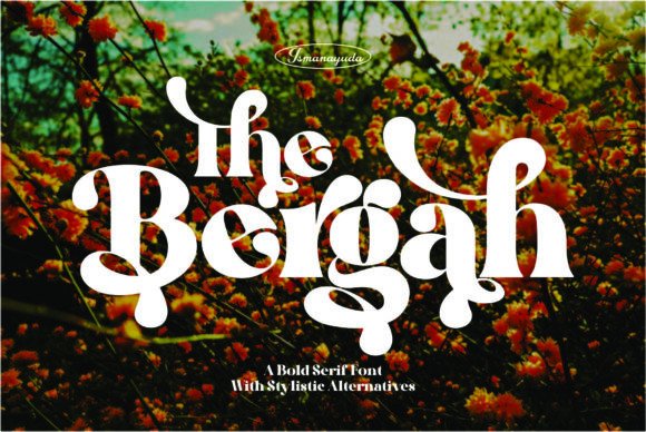 The Bergah: A Refined Display Typeface for Modern Web Design